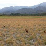 Chile's Aculeo Lagoon Dries Up for the First Time in 2,000 Years