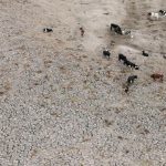 Chile's Aculeo Lagoon Dries Up for the First Time in 2,000 Years