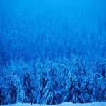 Winter Wonderland - About Islam