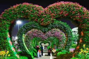 Love Islam
