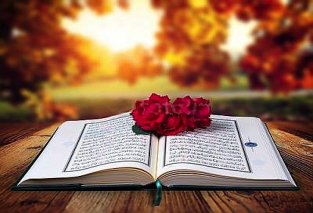 Understanding God's Wisdom in the Quran