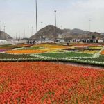 Million Flowers Make Makkah Biggest Carpet - About Islam