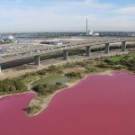 Check Melbourne's Naturally Pink Lake - About Islam