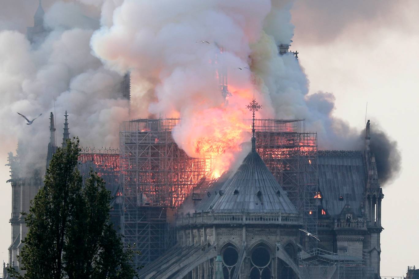 French Muslims Urged to Donate to Notre Dame Fund - About Islam
