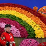 Chelsea Flower Show - About Islam