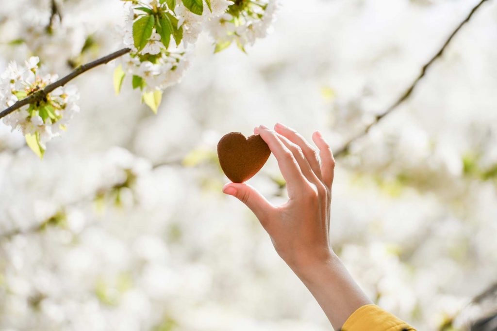 When the Heart is Clean, Something Amazing Happens!