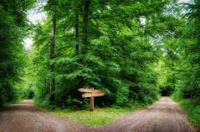 If God Has Determined Everything, Don’t Humans Have Freedom of Action