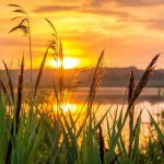 We Love Allah because He Gives us Hope