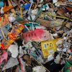 Our Ocean of Plastic - About Islam