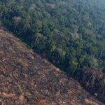 Amazon under Threat from Deforestation & Fires - About Islam