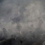 Amazon under Threat from Deforestation & Fires - About Islam