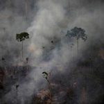 Brazil's Burning Amazon from Above - About Islam