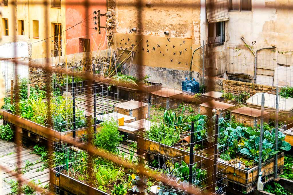 A Beginner's Tips on How to Start Your Urban Garden Planning