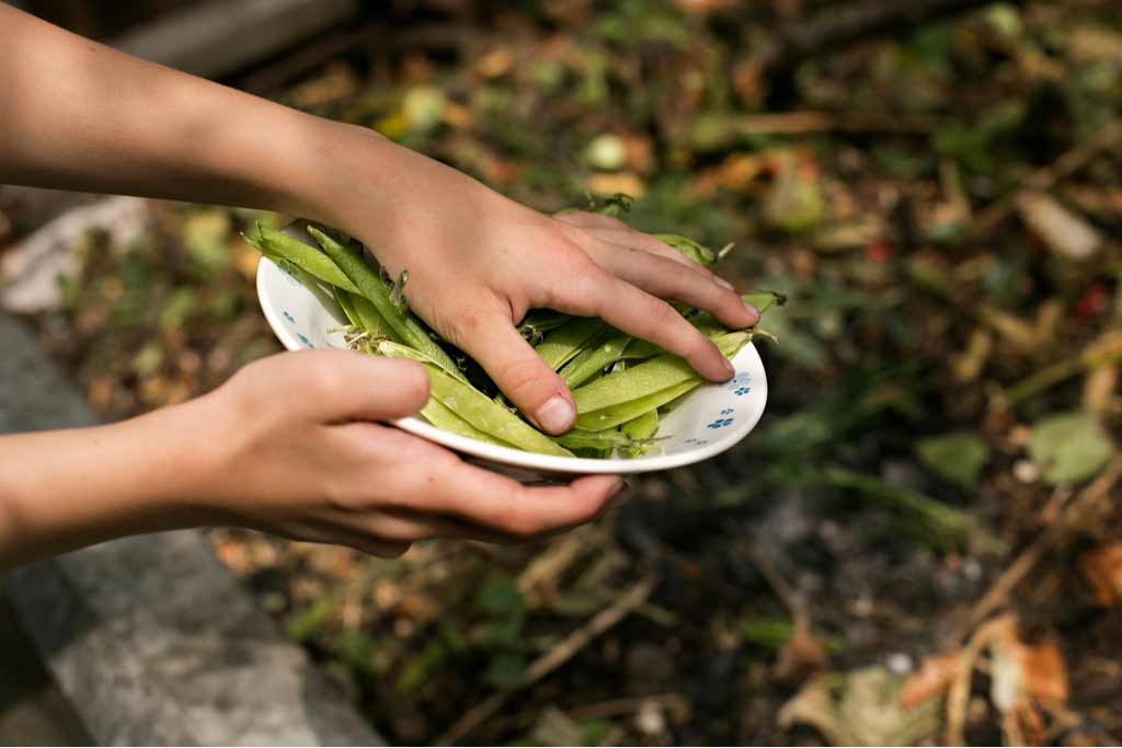 Tips to Start to Composting Kitchen Waste