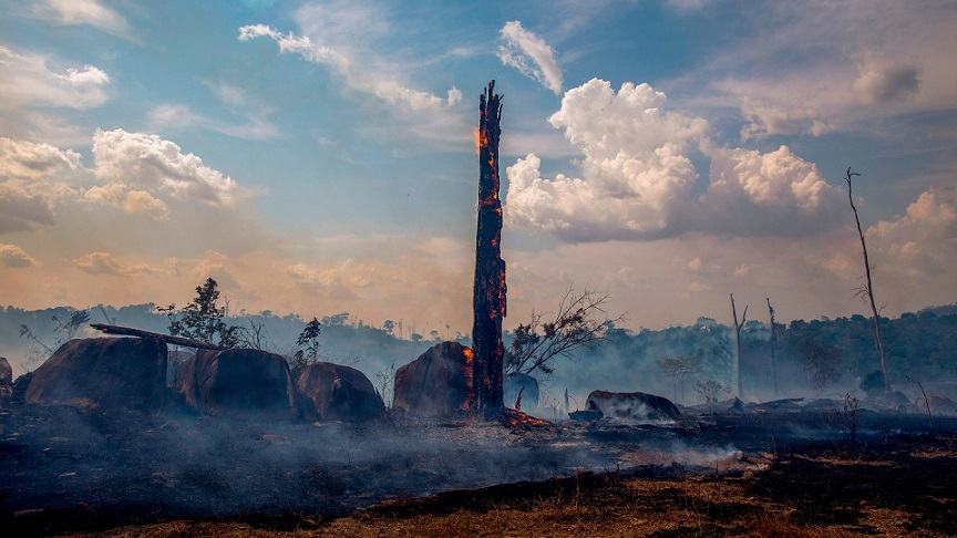 An Eye on Climate Change - About Islam