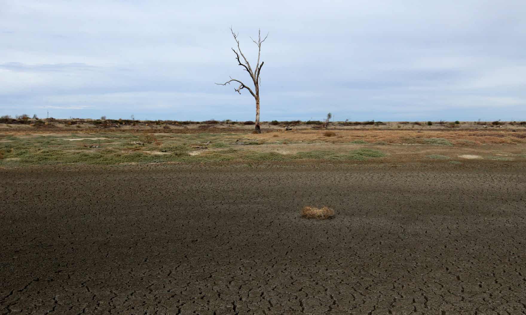 Struggling from Drought, Muslims Offer Massive Donation to Queensland Town - About Islam