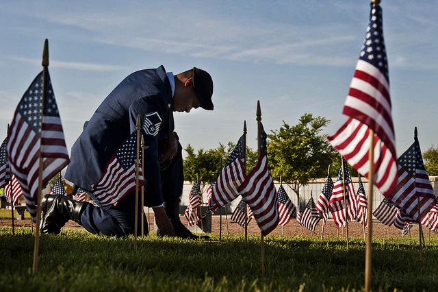 US Muslims Mark Veterans Day with ‘Muslims for Remembrance’ Campaign - About Islam