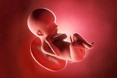 Can I Terminate My AIDS Infected Fetus?