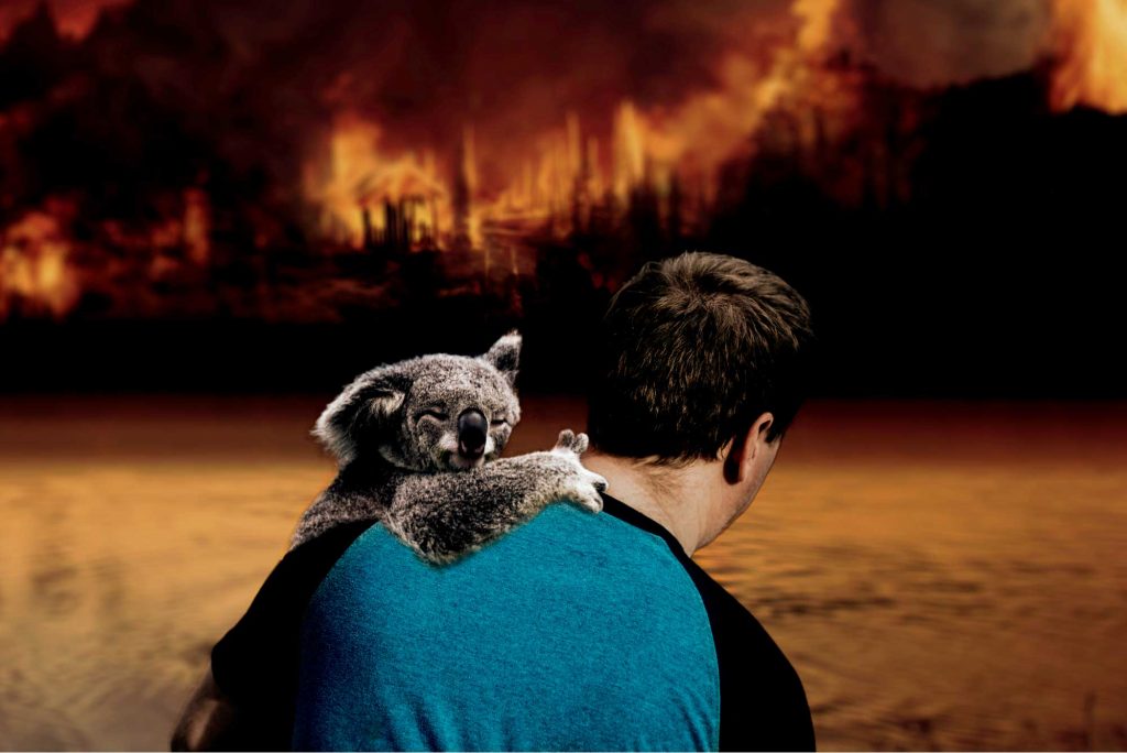 Australia Wildfires are a Reminder for Islamic Stance on Animal Welfare