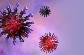Coronavirus Safety Precautions