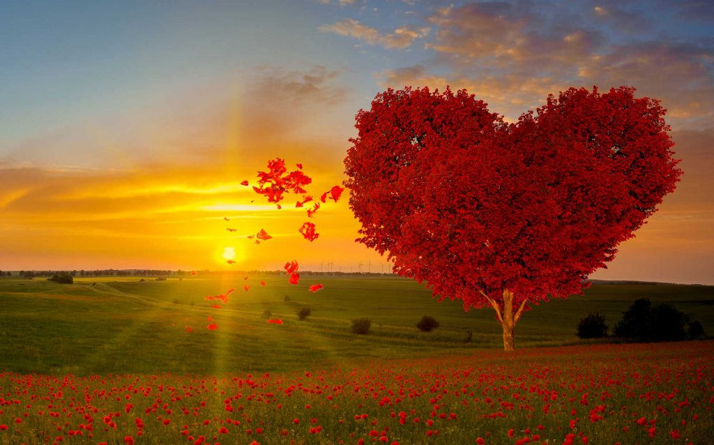 My Mom Is Always Right, I Feel Unheard