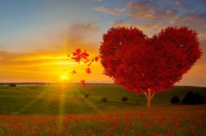 My Mom Is Always Right, I Feel Unheard