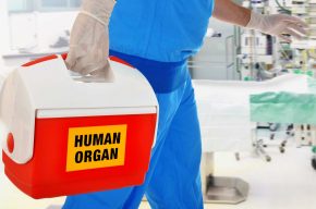 Are Uterus Transplants Permissible for Muslims?