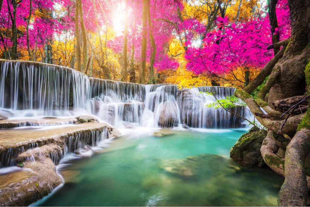 Do You Know the Greatest Pleasure in Paradise?