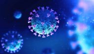 Coronavirus Survival Tips: How to Make Sense of it All!