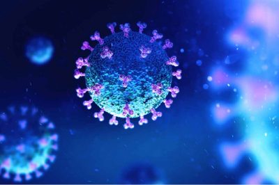 Coronavirus Survival Tips: How to Make Sense of it All!