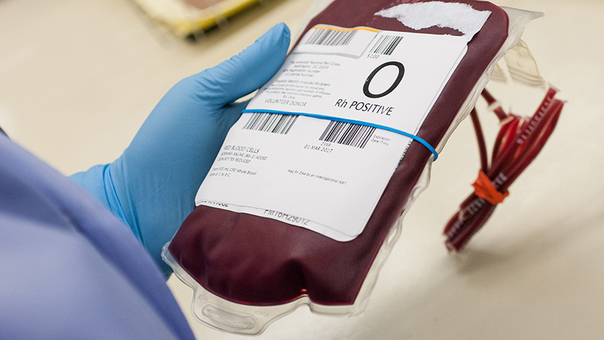 Calgary Muslims Donate Blood Amid National Shortage - About Islam