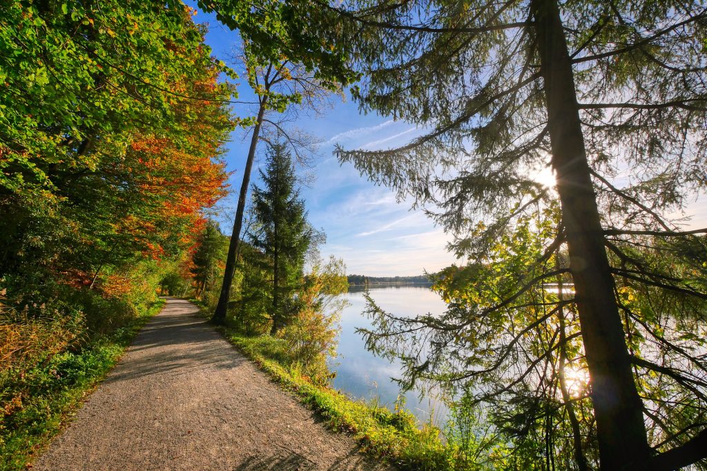 Help for New Muslims After Taking Shahadah