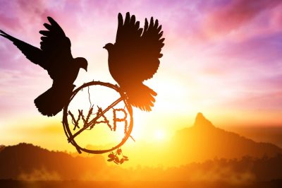 Silhouette of dove holding branch in No War Text flying