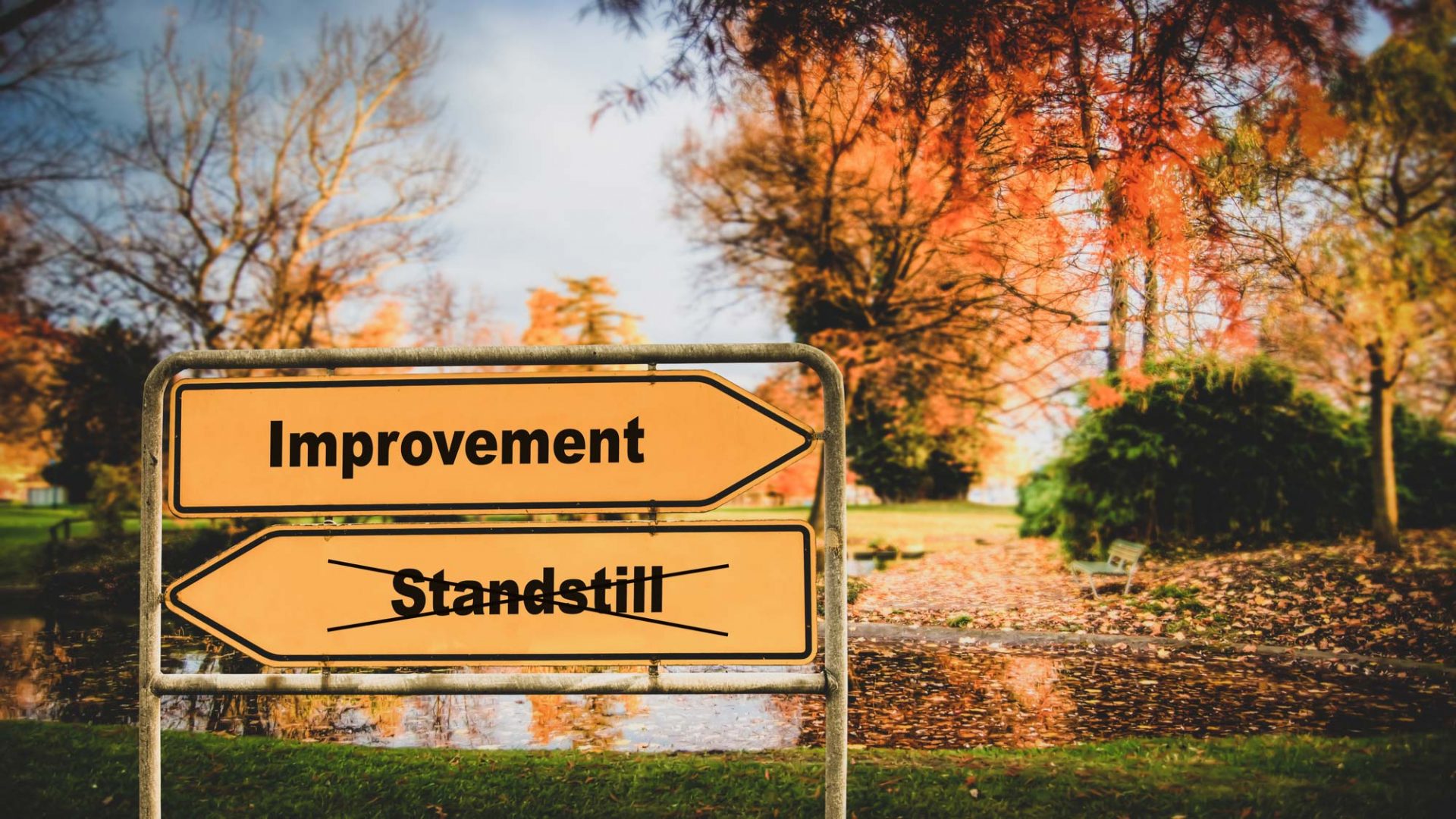 My Life is at a Standstill: How to Get it Back on Track?