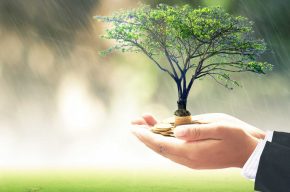 Can We Make Shares in Business as Waqf to Help Orphans?