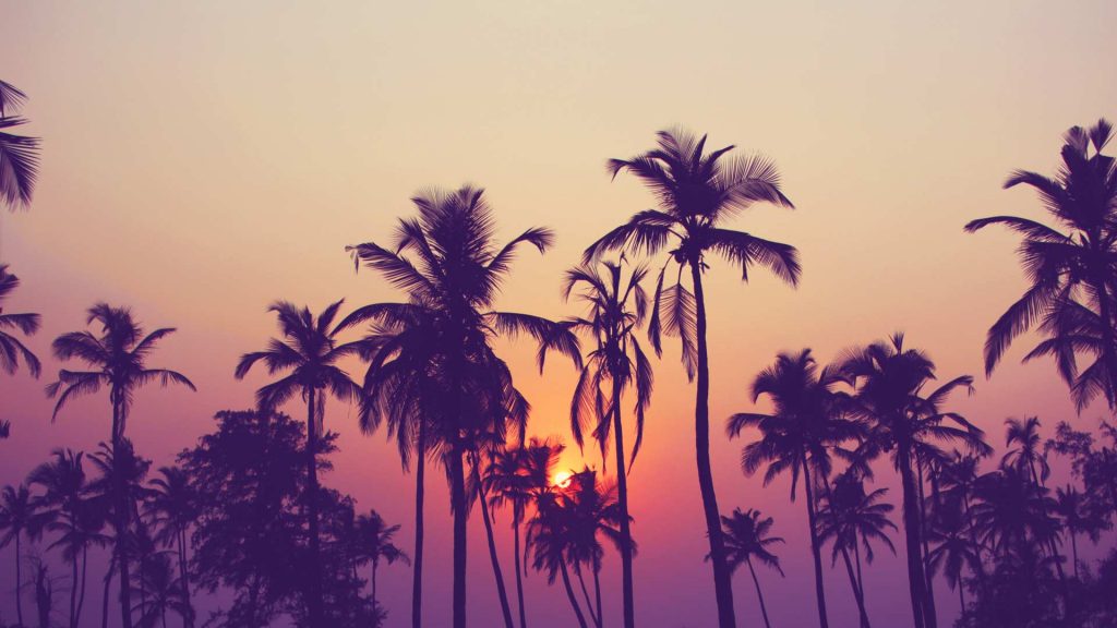 Stories of the Prophets: Exemplary Patience of Prophet Ayub (PBUH)