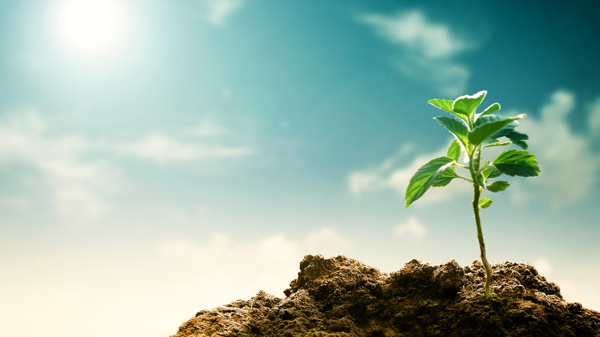 The Overflowing Cup…3 Tips to Overcome Pessimism