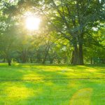 5 Keys for Developing Islamic Habits of Success