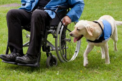 Can I Own a Dog If I Have a Disability?