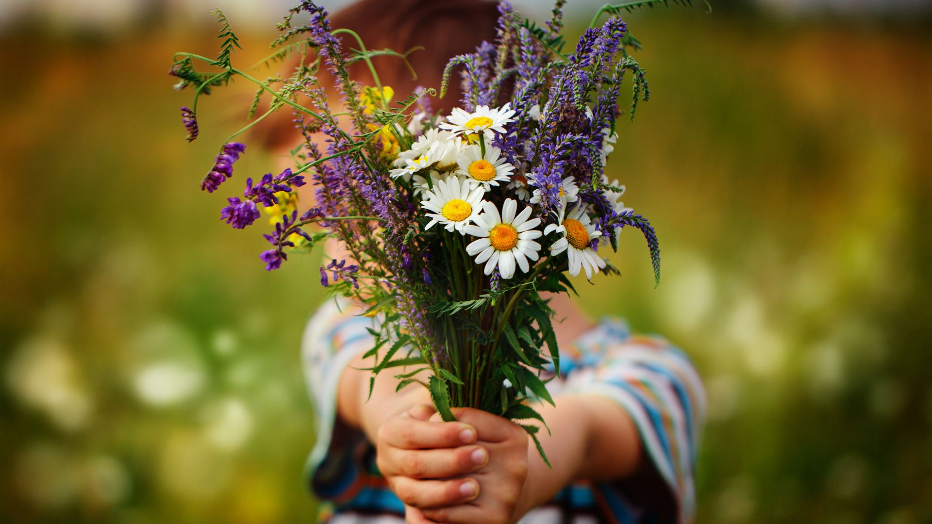Полевые цветы в руках у девушки