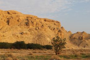 Lessons From the Story of Prophet Saleh