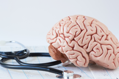 Human brain model and stethoscope on background of brain waves-Epilepsy and Missing Fajr