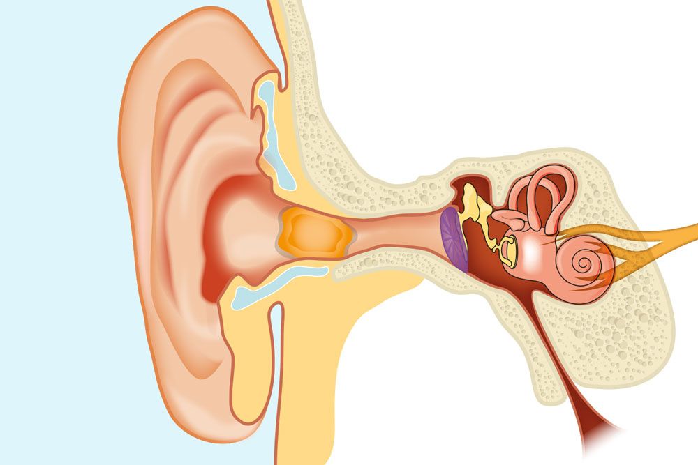 Blessing of Earwax! - About Islam