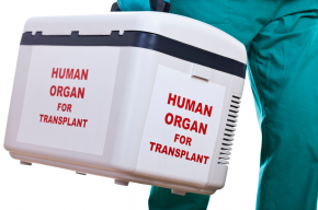 Can Muslims Donate Organs?