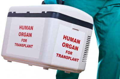 Can Muslims Donate Organs?