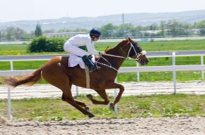 Young and Muslim How Can I Lead a Balanced Life