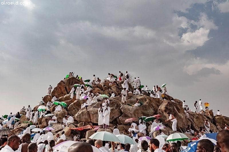 Arafah: Moments of Forgiveness and Submission
