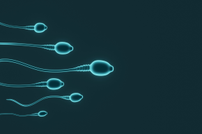 3d render sperm of cells