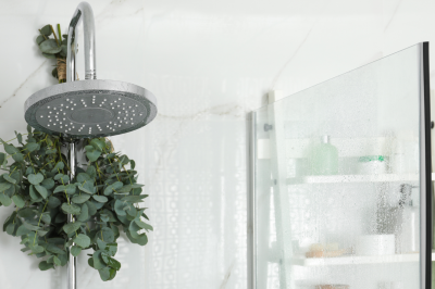 branches with green leaves in shower