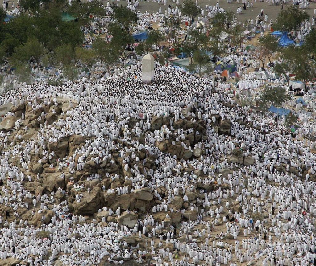 Pilgrims on Arafah: Seeking Allah’s Forgiveness & Pleasure - About Islam